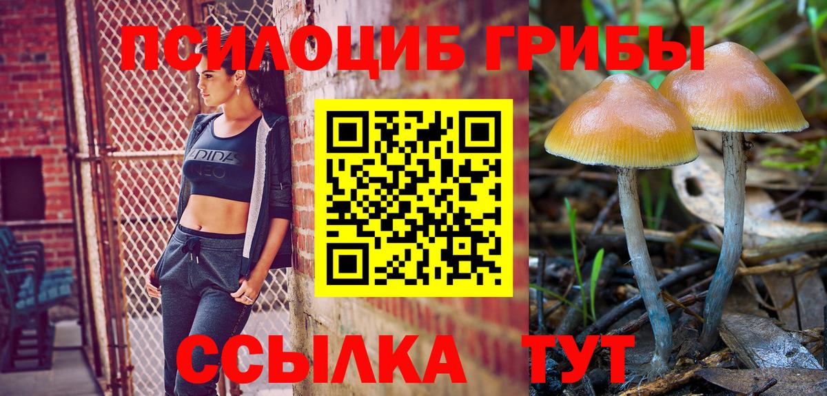 Галлюциногенные грибы MAGIC MUSHROOMS Новошахтинск