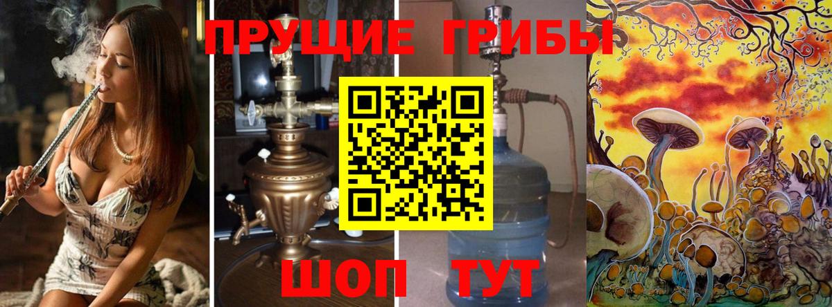 Новошахтинск  Галлюциногенные грибы Psilocybe  Псилоцибиновые грибы Magic Shrooms  Вход с VPN 